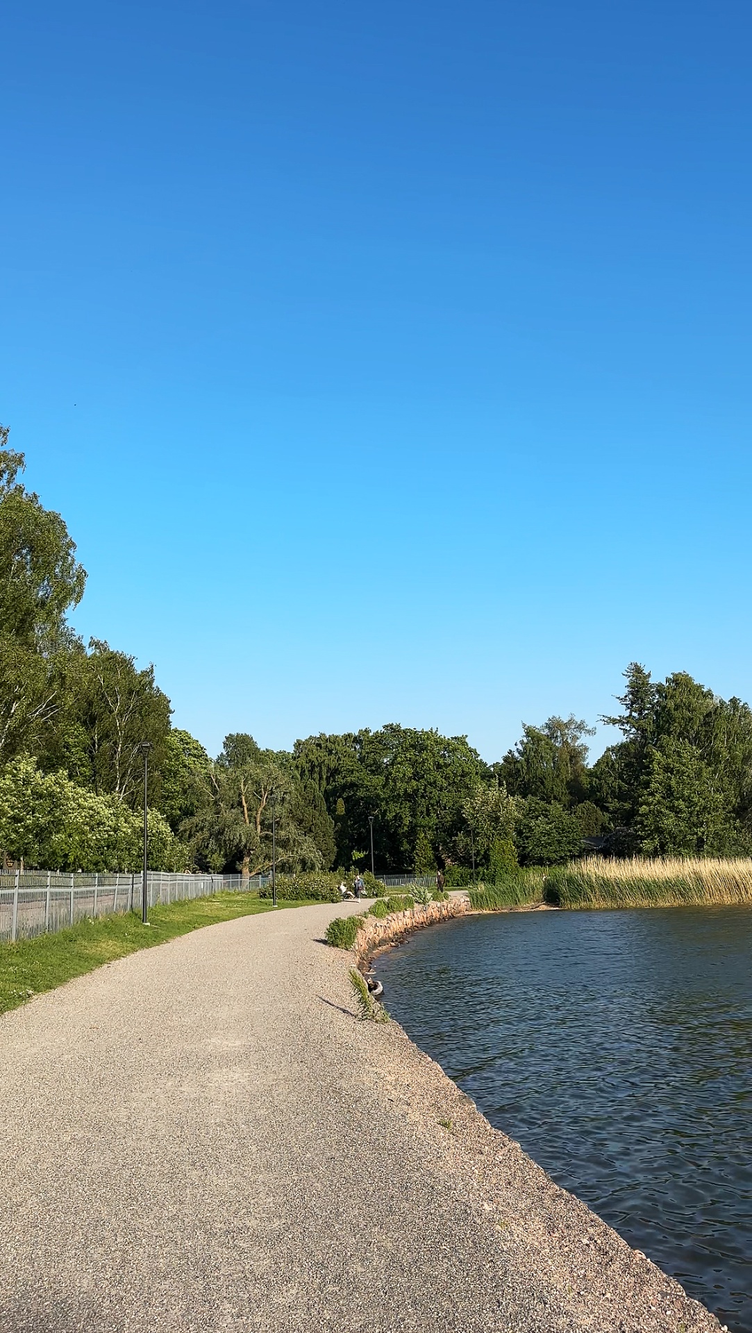 Kaupunki kohtaa luonnon